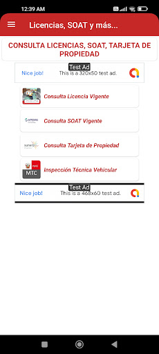 Consulta: Licencias, SOAT Screen 2