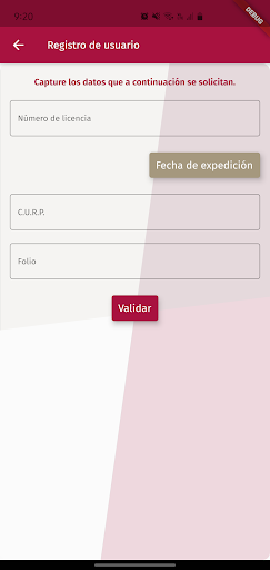 Licencia Digital Puebla Screen 2