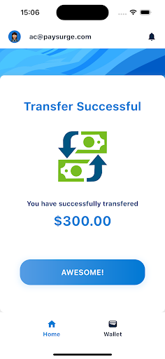 PaySurge Screen 3