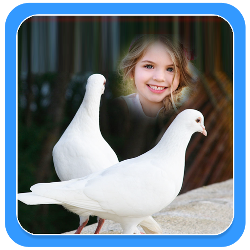 Couple Birds Photo Frames logo