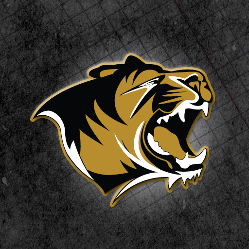 Bentonville Tiger Athletics  Icon