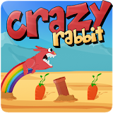 Crazy Rabbit icon