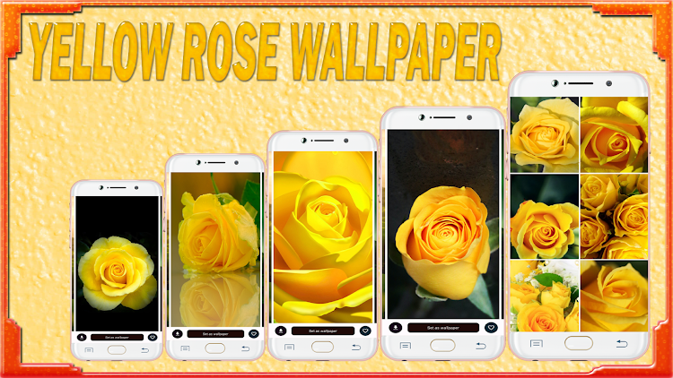 Yellow Rose Wallpaper - 1.03 - (Android)
