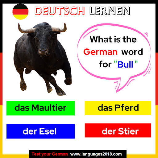 Android application Deutsch Lernen - Learn German screenshort