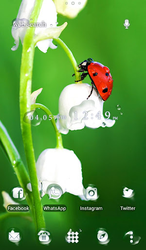 Flower Theme Ladybug Flower By Home By Ateam Google Play United States Searchman App Data Information