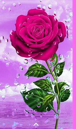Imágenes De Rosas Con Frases Screen 2