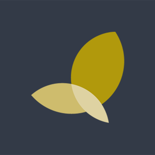 FocusXL logo