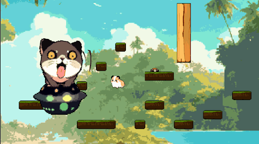 Crazy Developer크디