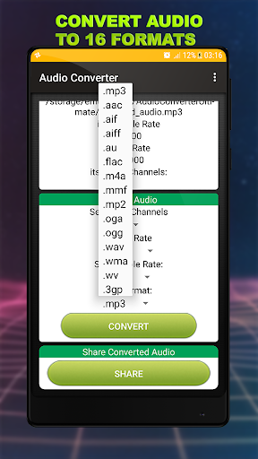Audio Converter - 16 Audio For