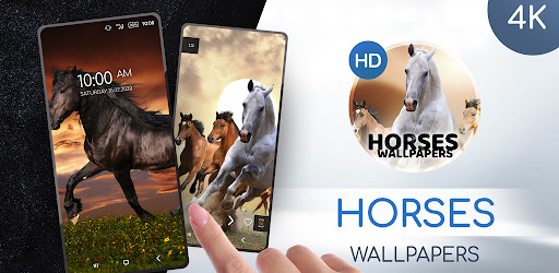 Wallpapers 4K with horses