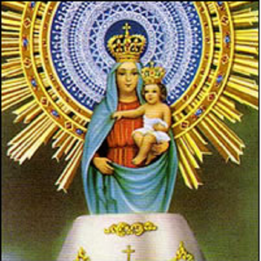 Virgen del Pilar Install on Windows