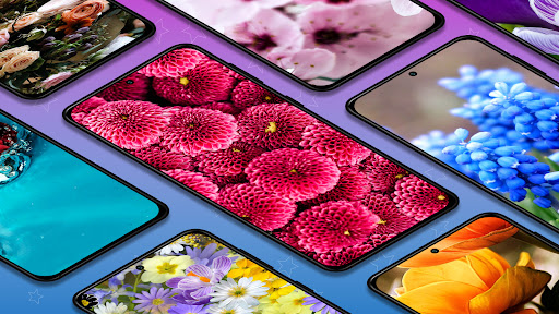 Android application Flowers wallpaper background screenshort