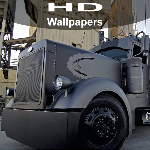 Live Wallpaper Wallpaper 6K