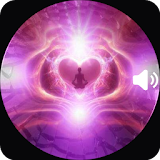 La Vibracion del Amor Audio y Texto icon