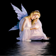 Angel Wallpapers  Icon