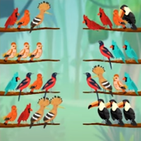 Сортировка птиц: Головоломка