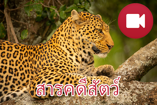 ตัวอย่างแอป