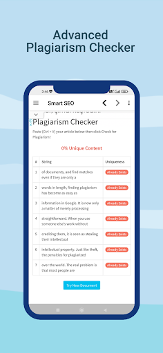 Smart SEO Screen 2