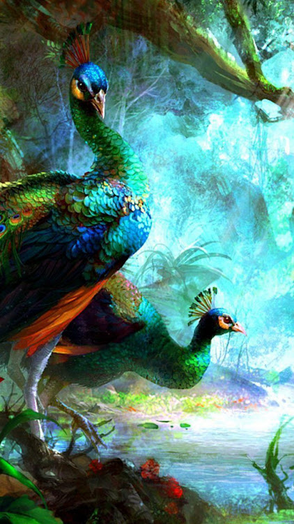 Peacock -Wallpapers,puzzle - 2.0 - (Android)