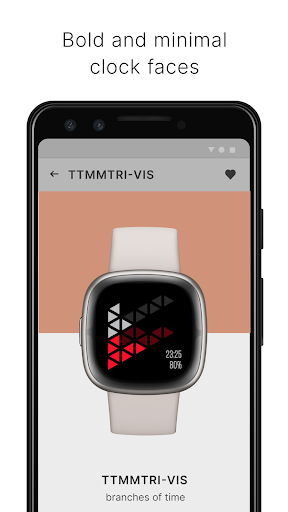 TTMM-VIS for Fitbit Versa