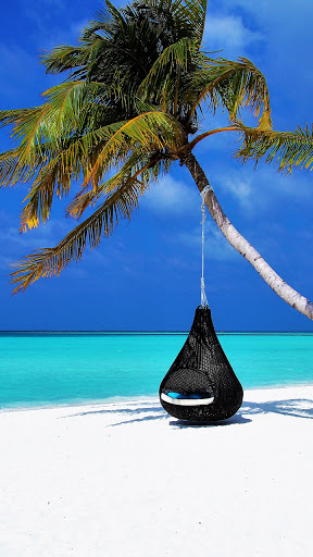 Android application paradise island wallpaper screenshort