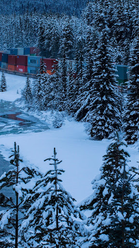 Snow Wallpapers Screen 2