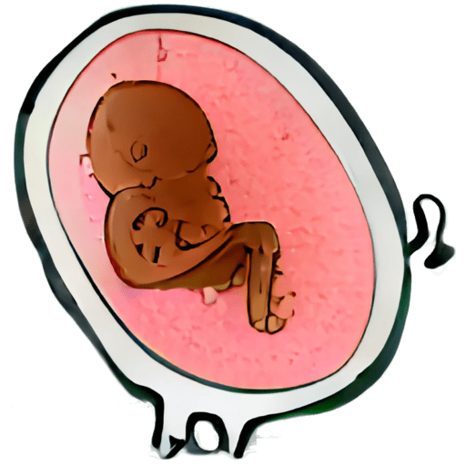 Contraction Counter logo