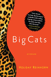 Icon image Big Cats: Stories