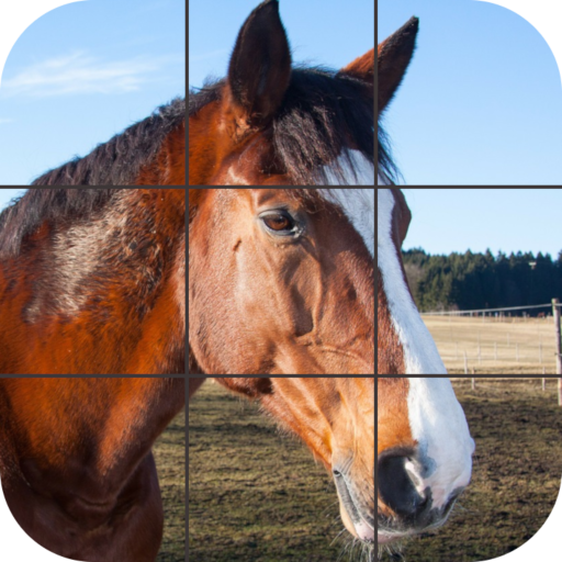 Beautiful Horses Puzzle logo