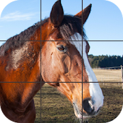 Top 29 Puzzle Apps Like Beautiful Horses Puzzle - Best Alternatives