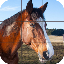 Icon image Beautiful Horses Puzzle