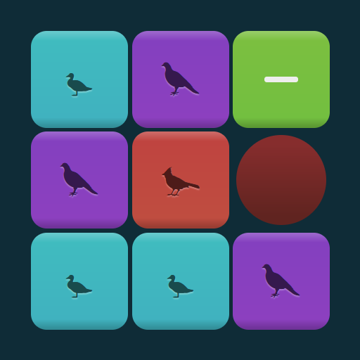 Birds Match logo