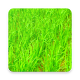Kheti ki Jankari खेती की जानकारी Download on Windows