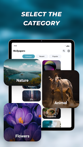 40000 Wallpapers & Backgrounds screenshot