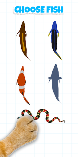 Android application For cat - catch the fish 3D screenshort