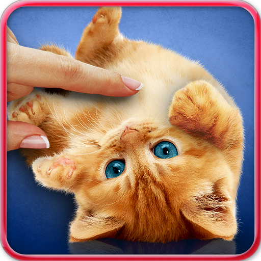 Purring cats, live wallpaper  Icon