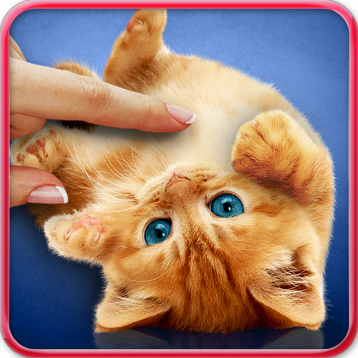 ごろごろ猫 ライブ壁紙 Google Play のアプリ