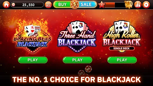 Blackjack King - Free Play & No Download