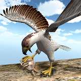 American Falcon Wild Sim 2016 icon