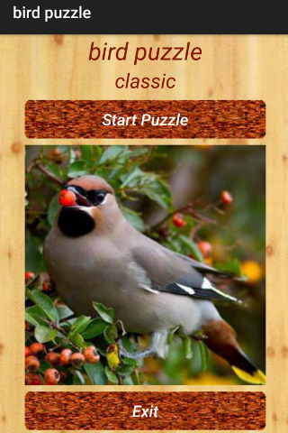 bird puzzle - 8 - (Android)