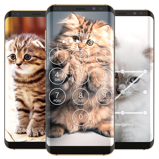 Fluffy Kitties Lock Screen Download on Windows