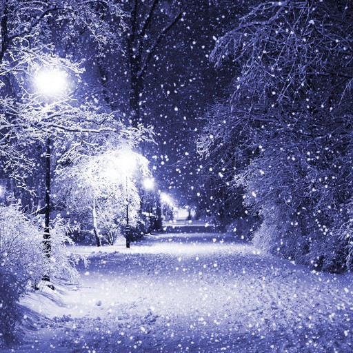Snow Wallpapers logo
