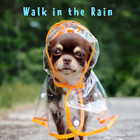 かわいい犬壁紙アイコン 雨の日のお散歩 無料 Androidアプリ Applion