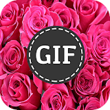 ورود متحركة : صور GIF icon