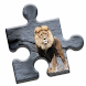 King Lion Puzzle - Androidアプリ