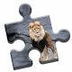 King Lion Puzzle