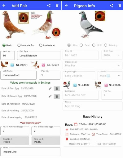 Pigeon Loft Manager Screen 3