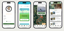 Pygapp APK