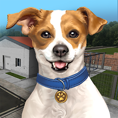 Animal Shelter Simulator - Apps on Google Play