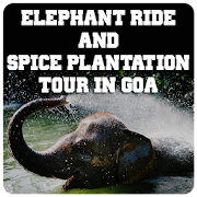 Spice Plantation Tour with Elephant Ride Goa  Icon